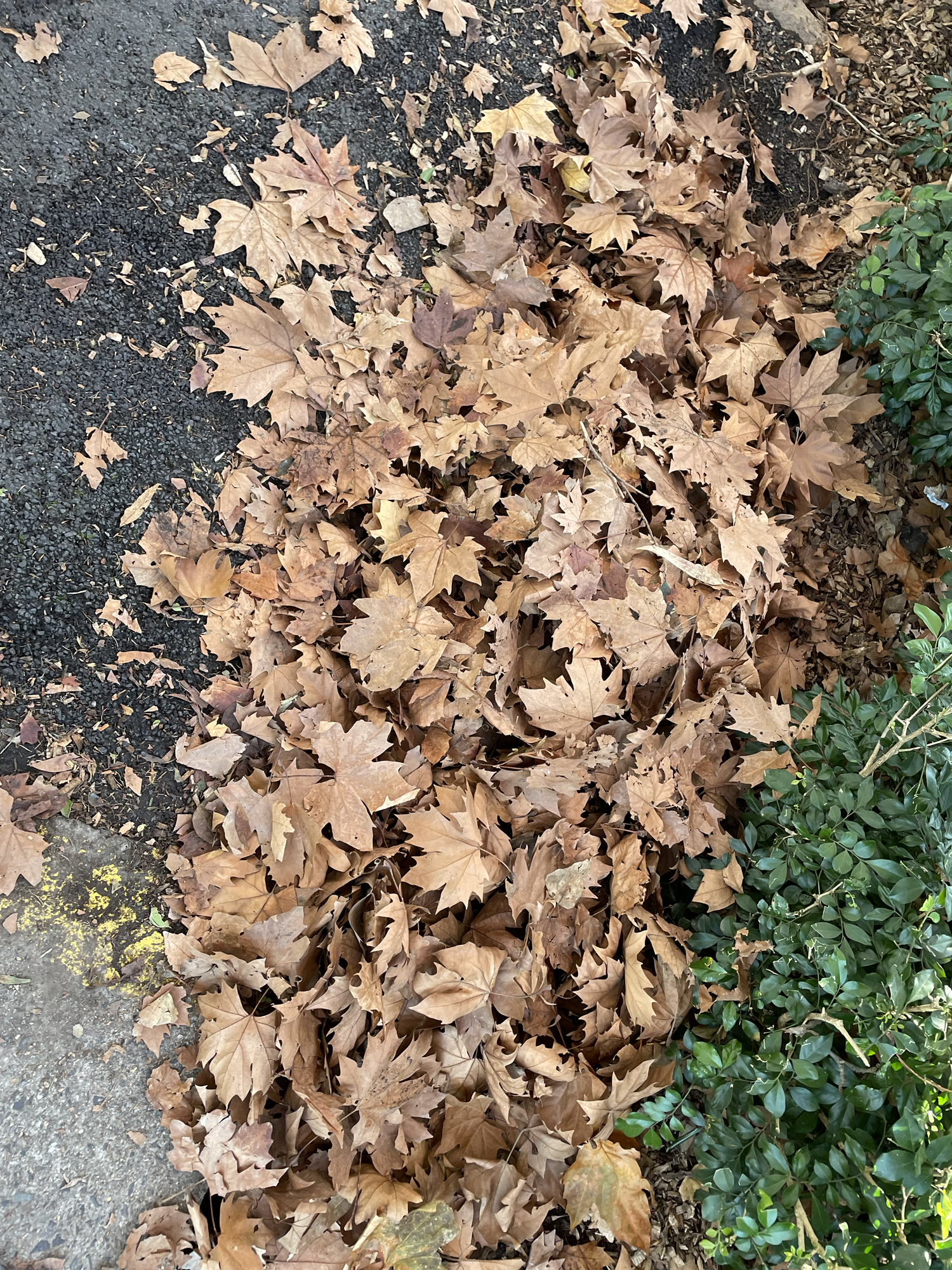 The start to my week