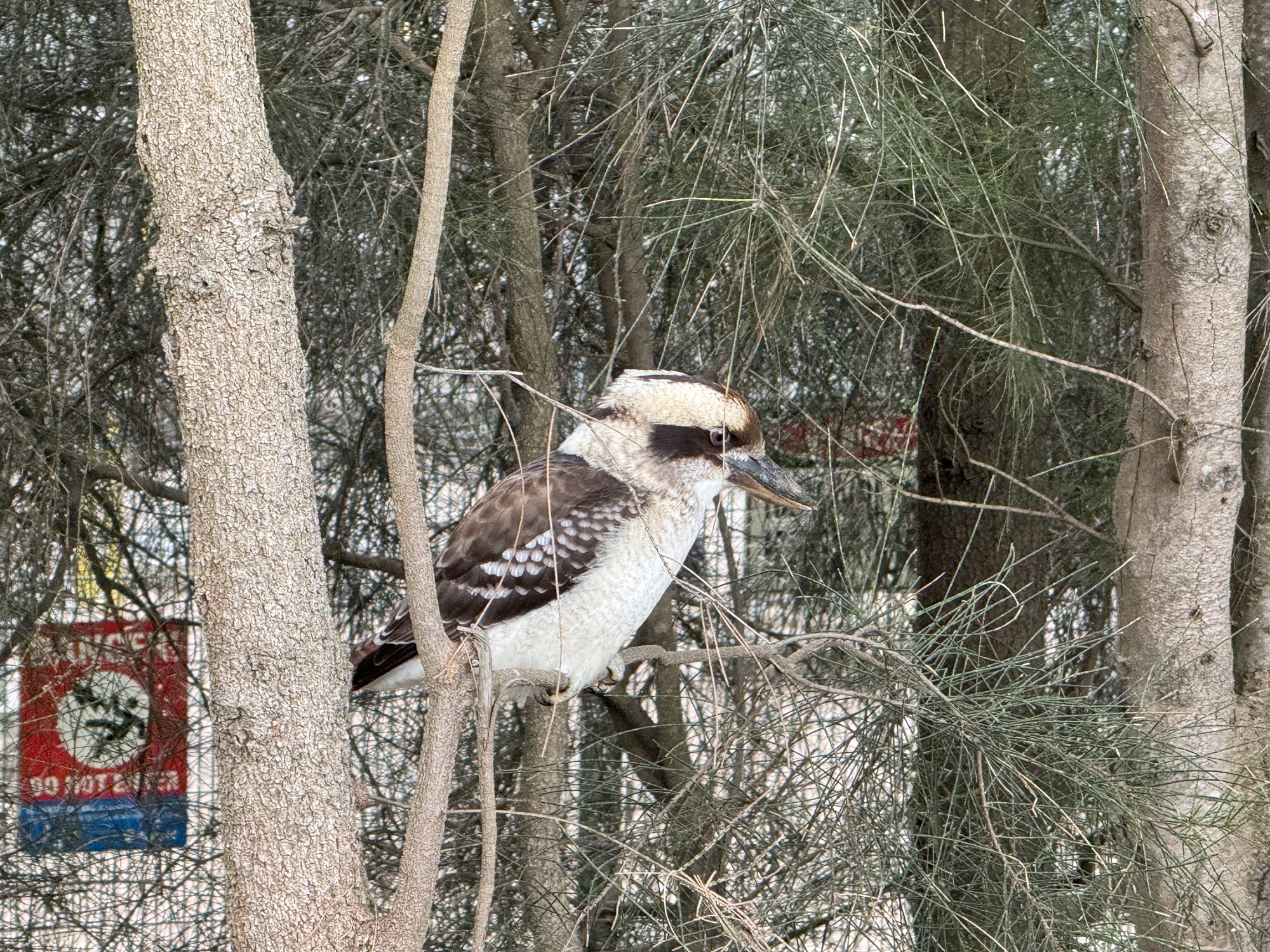 What has the week brought me?