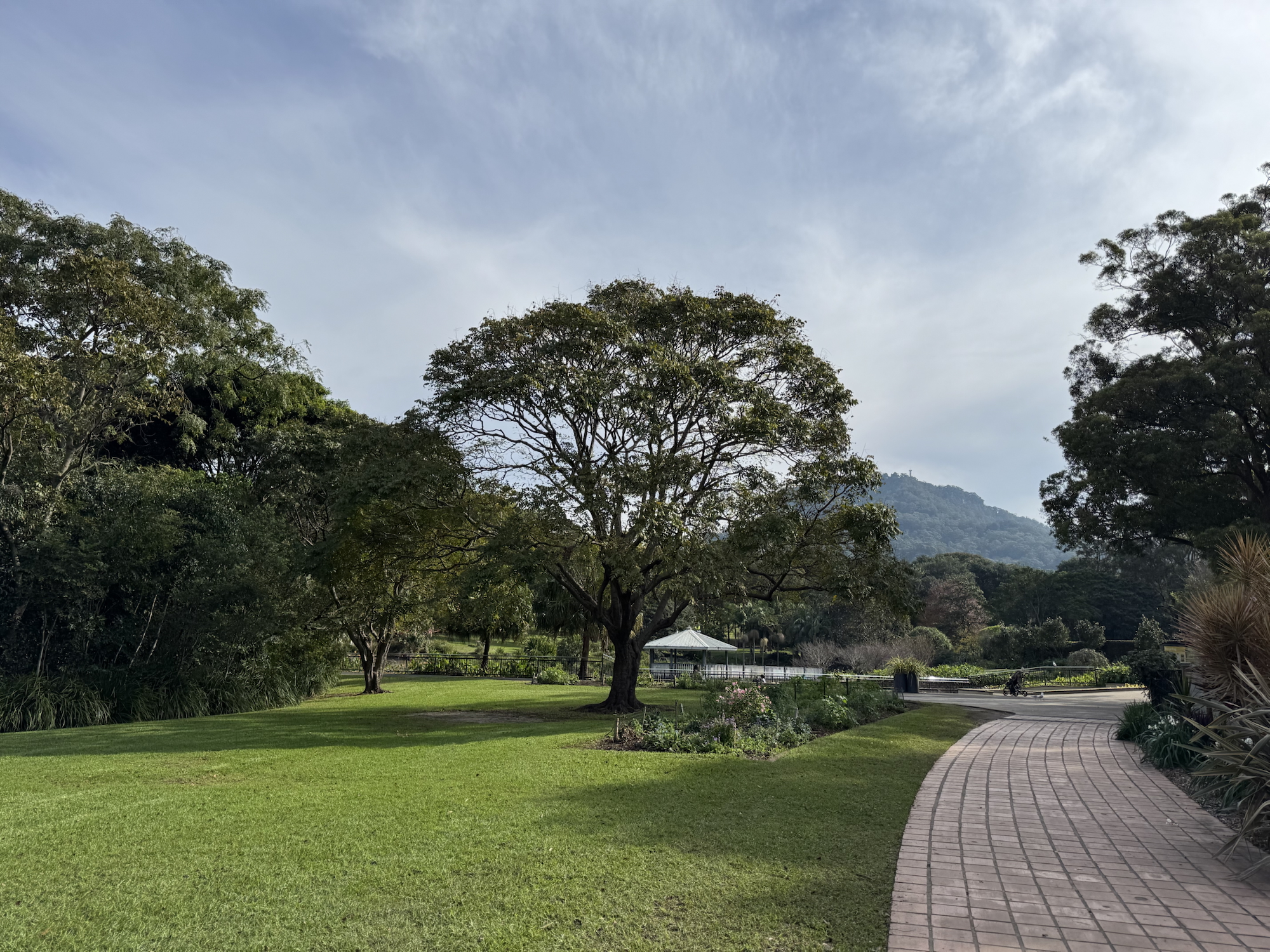 Wollongong Botanic Garden