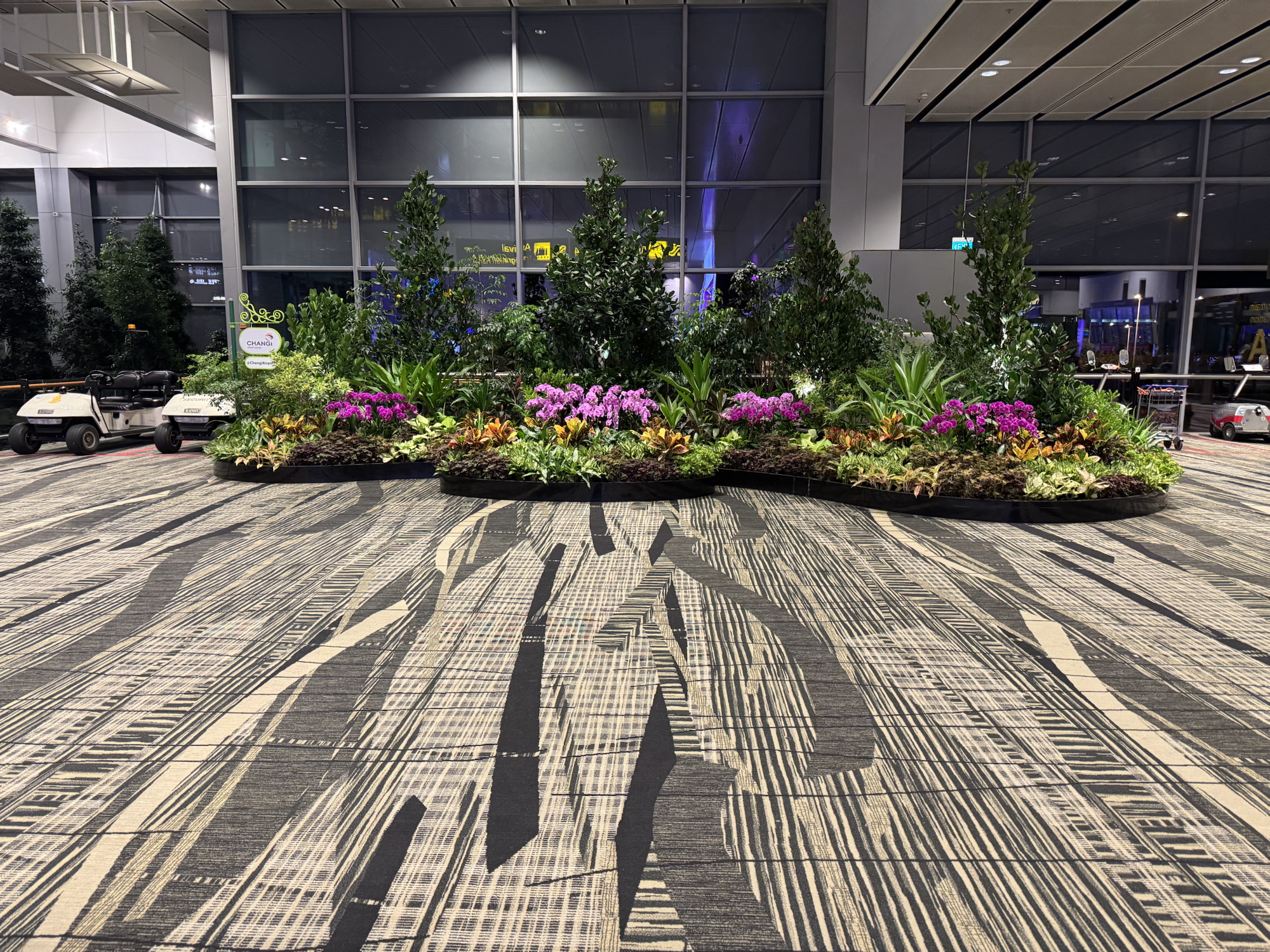 The difference half a world makes