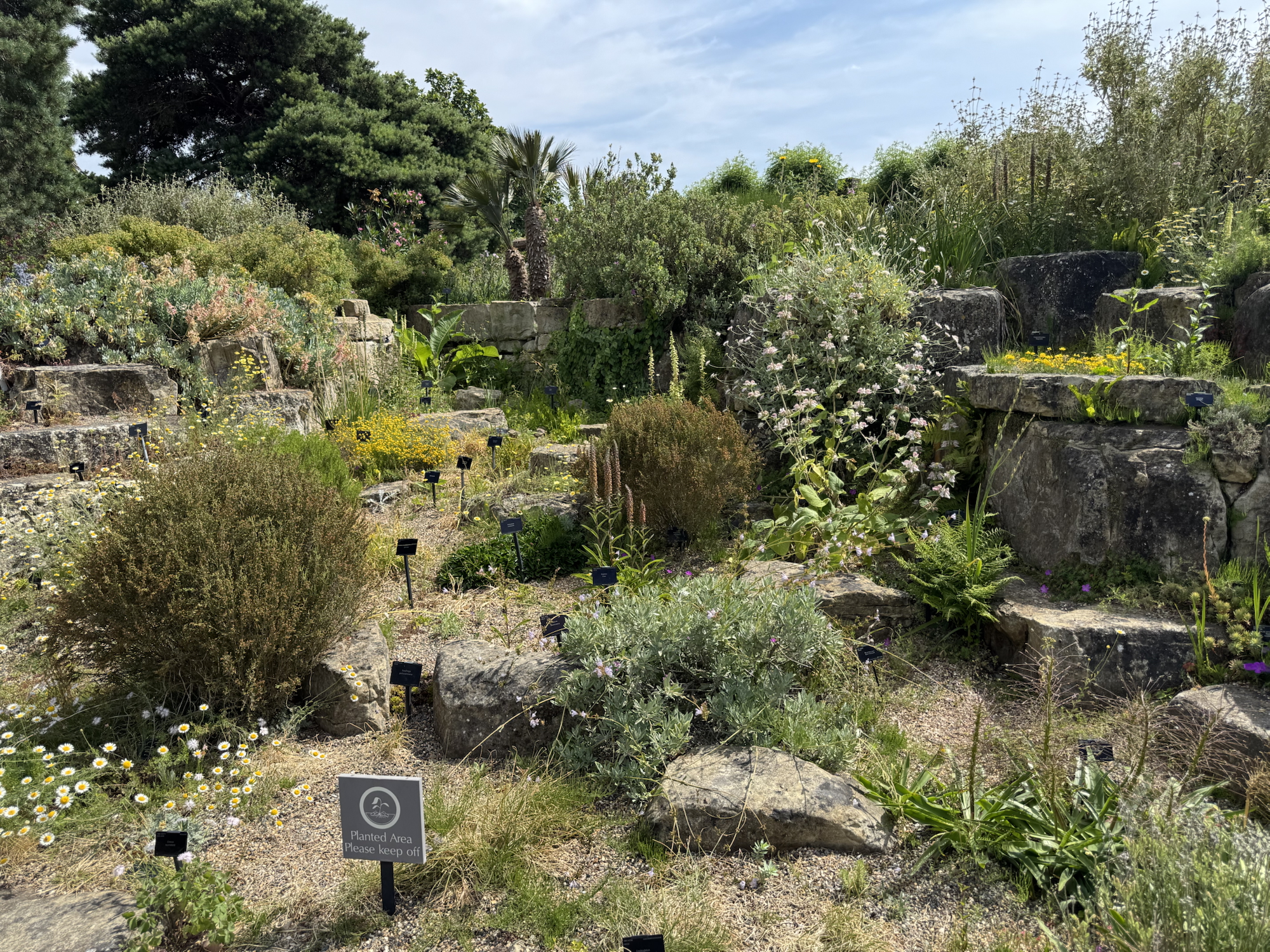 Preventing ‘garden escapes’ in gardening