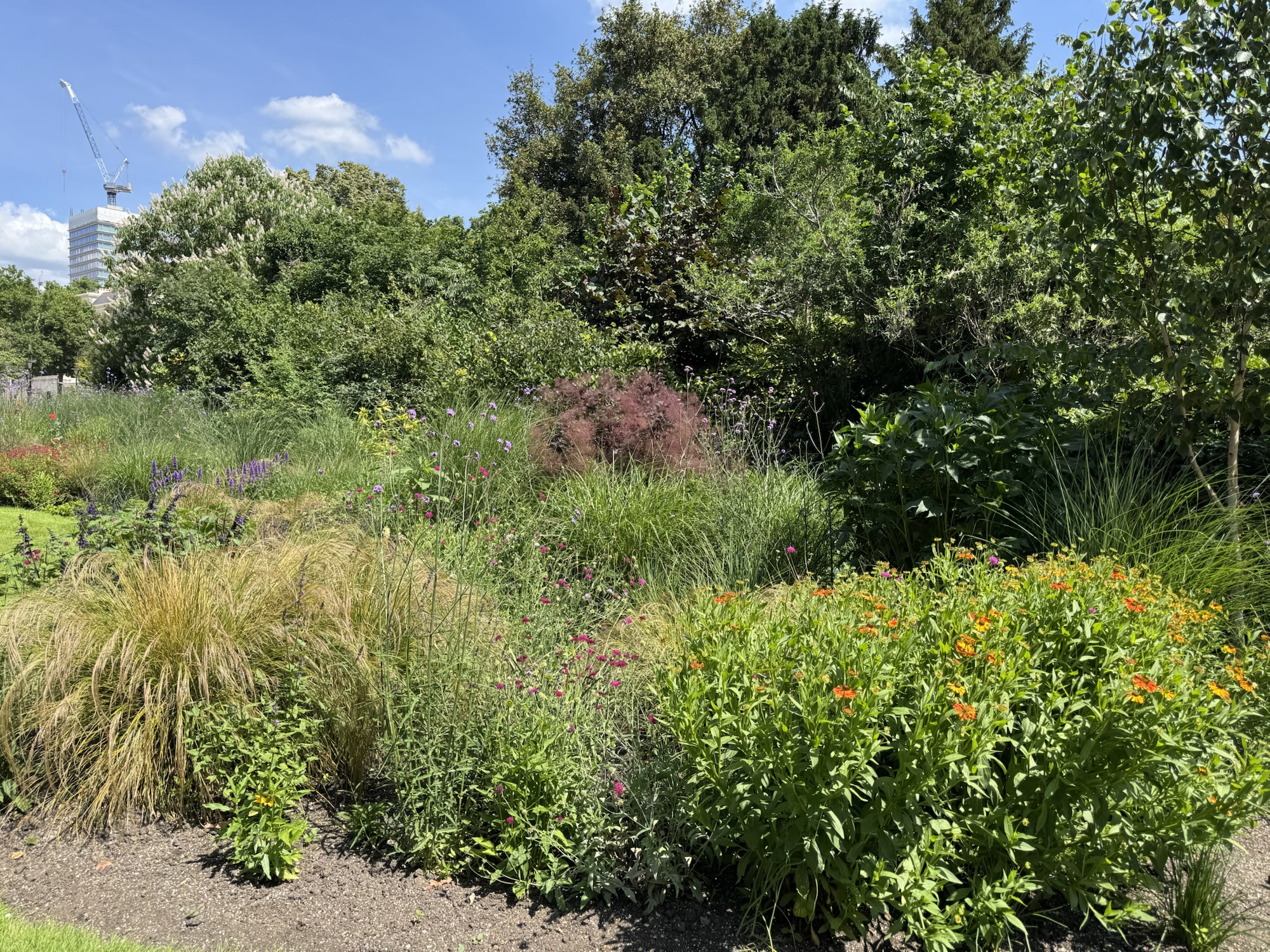 Nature doing its thing-why it is a good thing