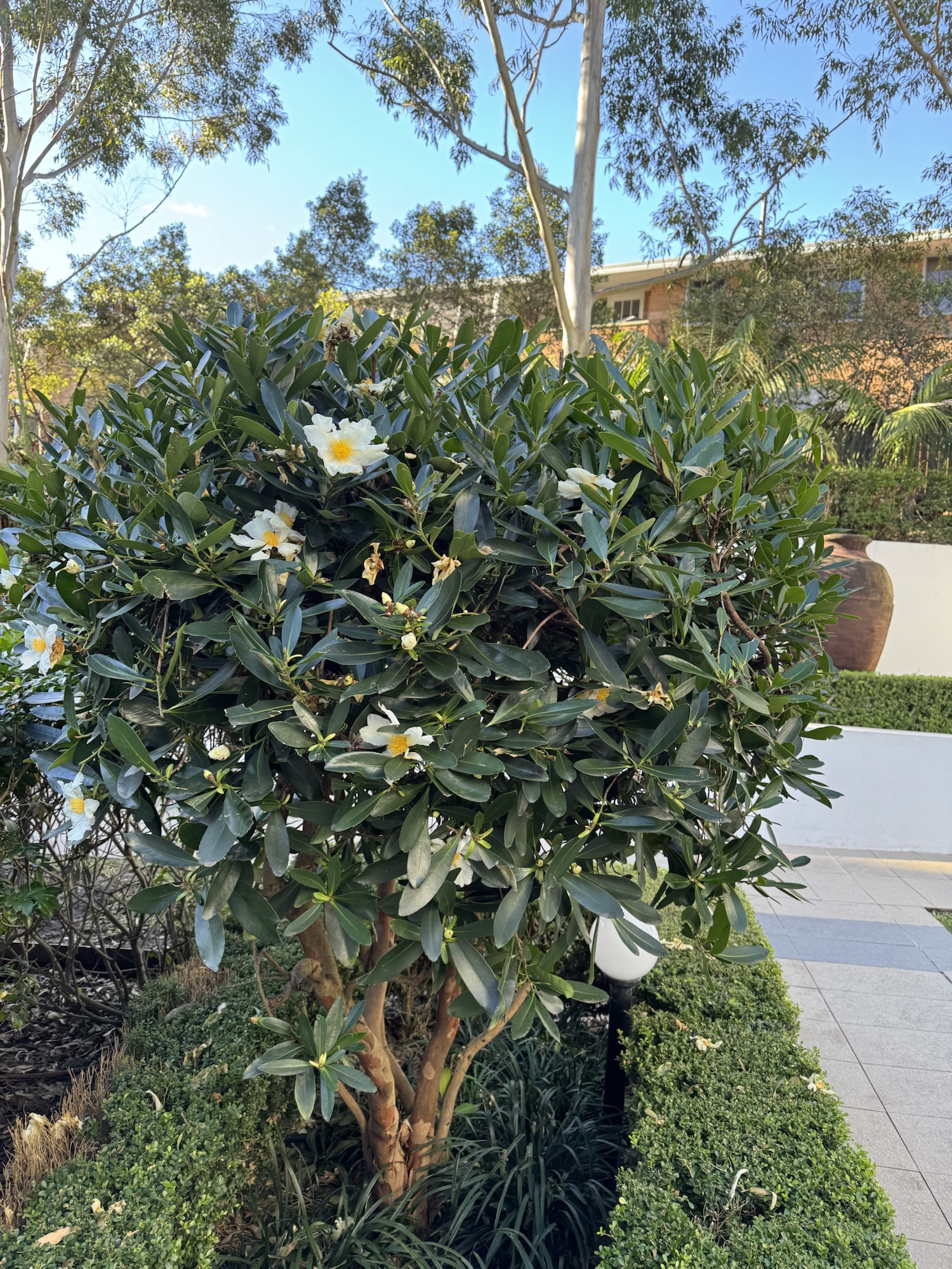 Not-so-flowery Friday