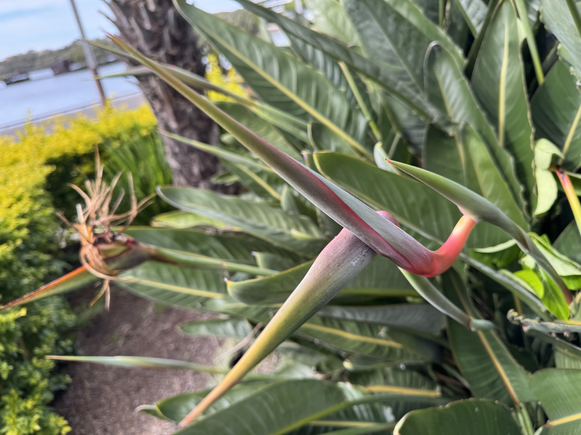 Spring is in the air!