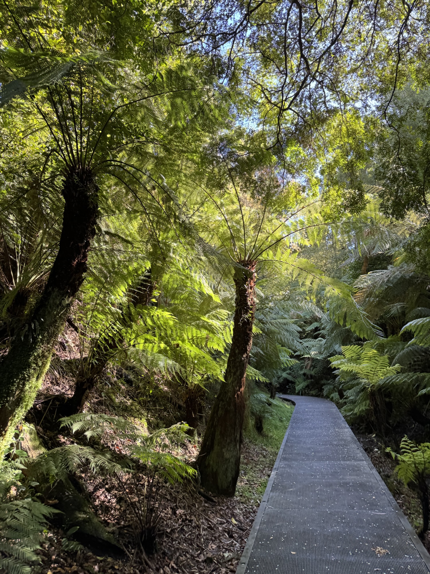 Australian National Botanic Garden, Canberra