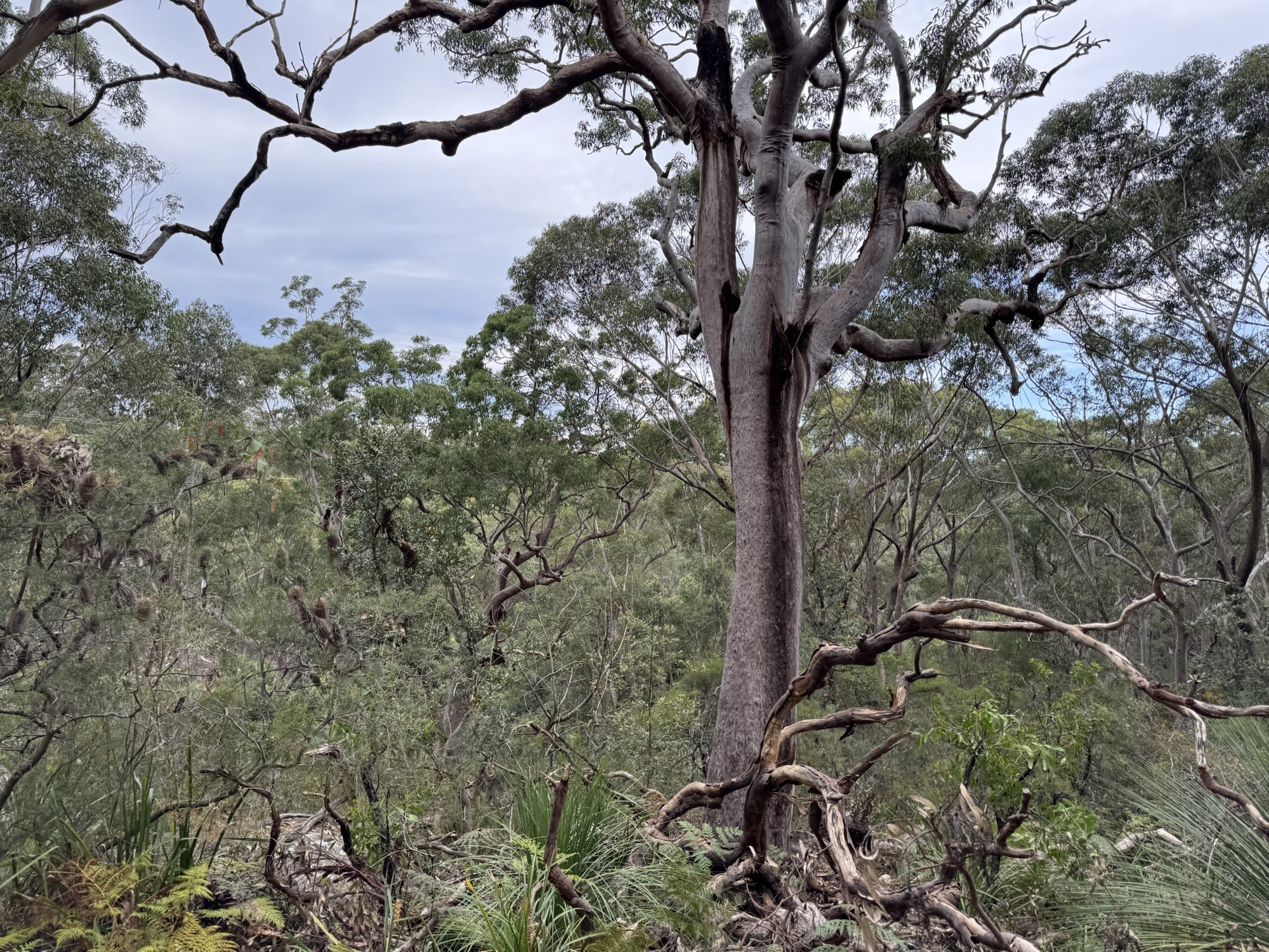 It’s easy to forget…