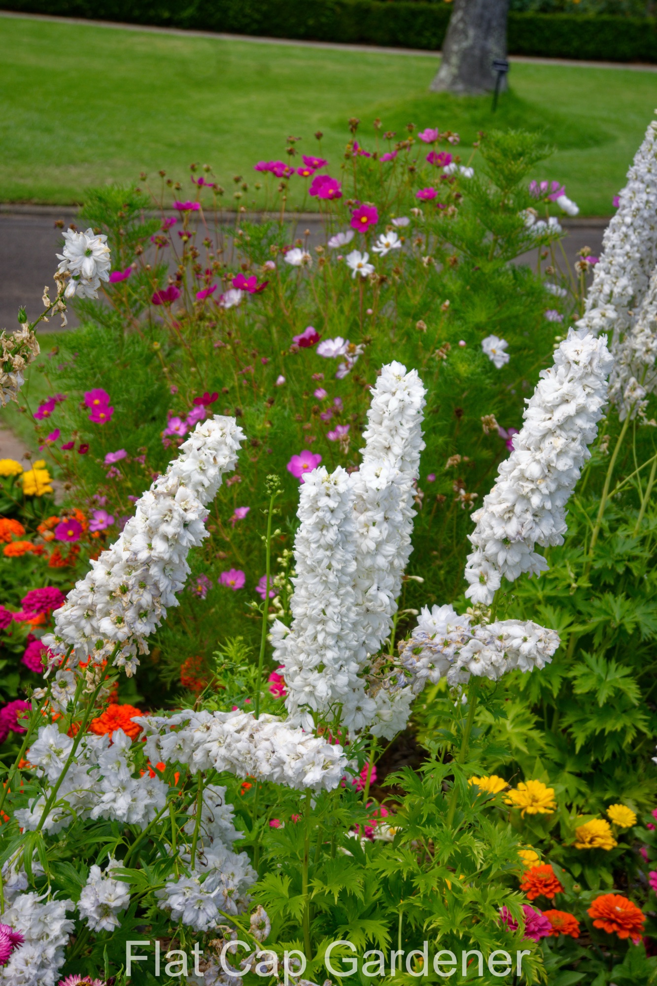 A visit to Sydney’s Royal Botanic Garden