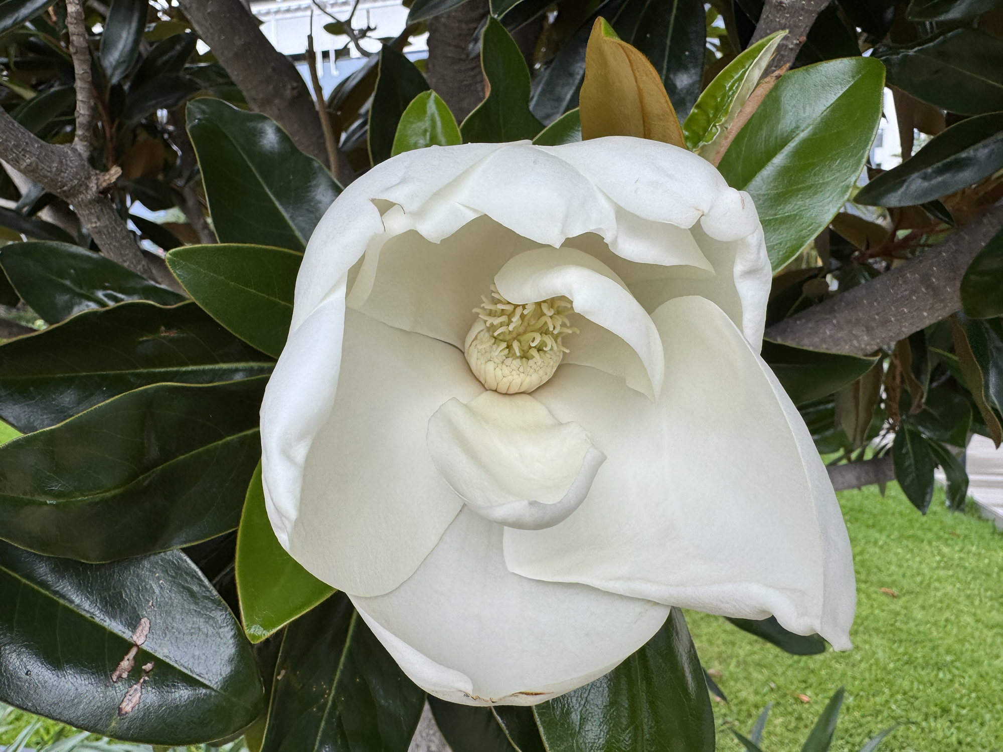 Simple things are fun to me