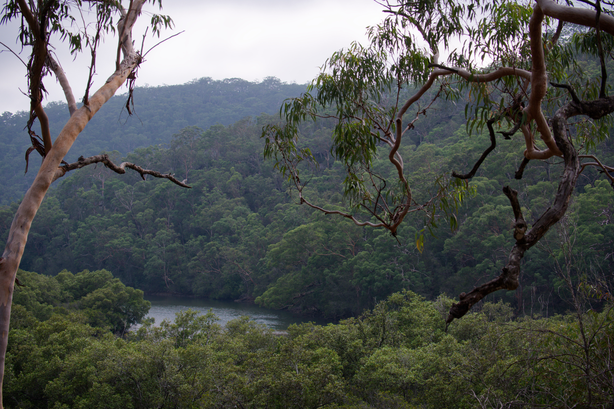 It would have to be a car