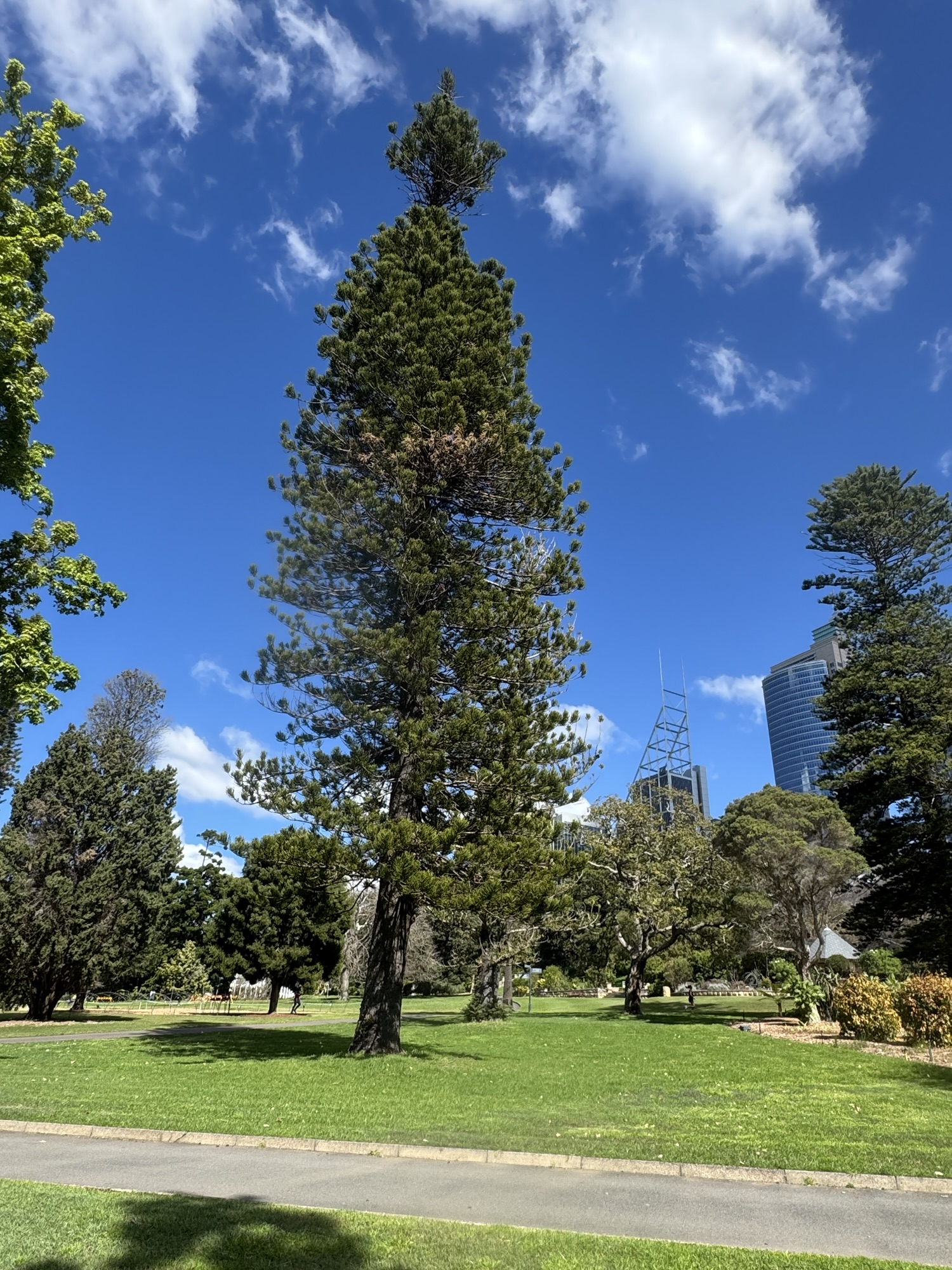 How time in the garden is impacted by weather