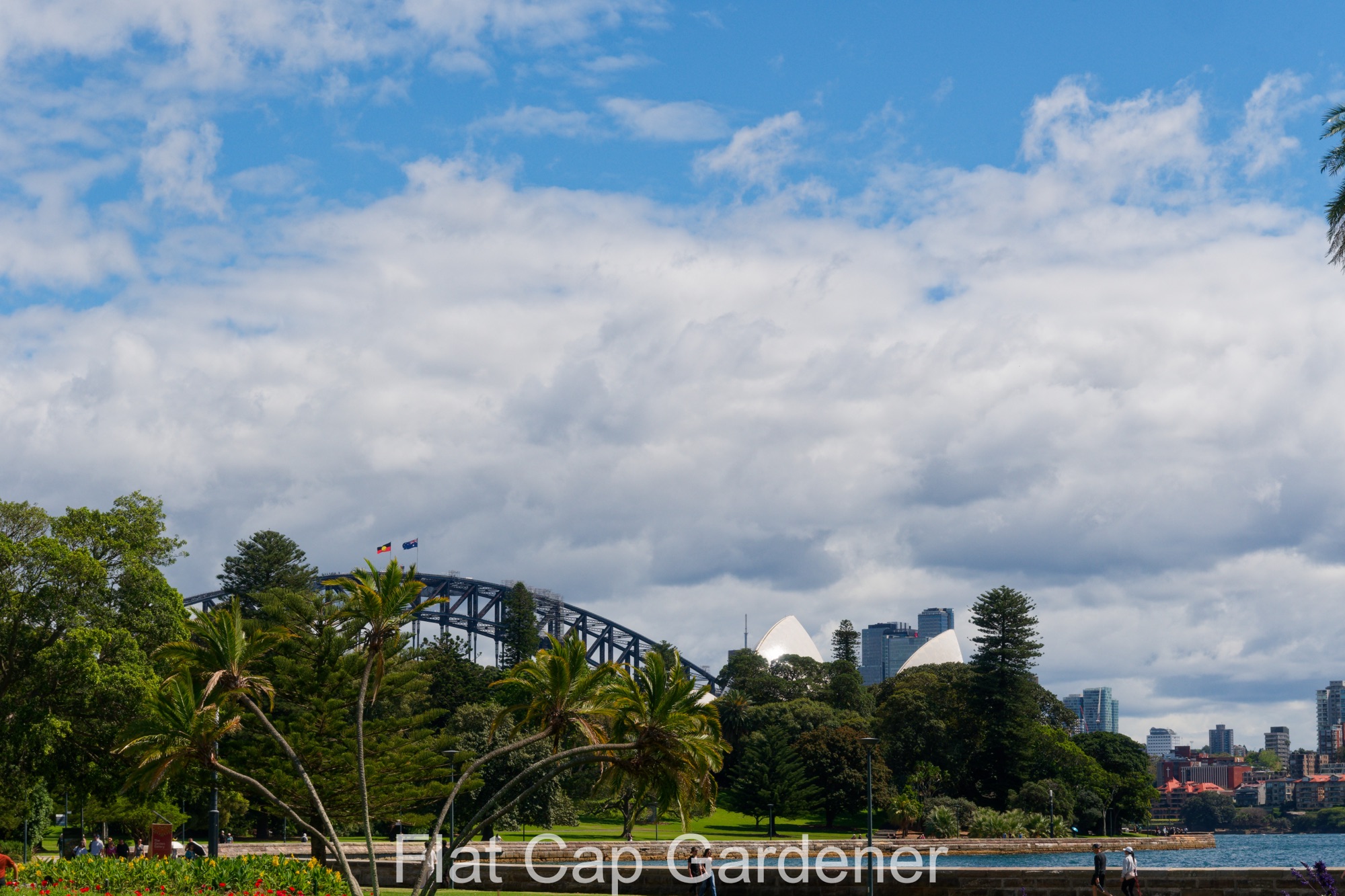 Garden walks in the city